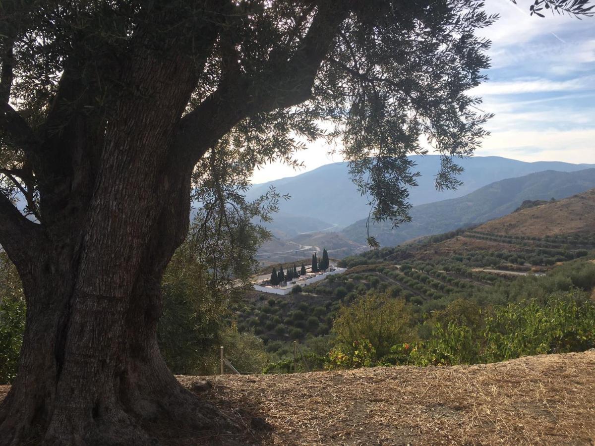 Jardin Andaluz Appart Alhambra Pinos del Valle Eksteriør bilde
