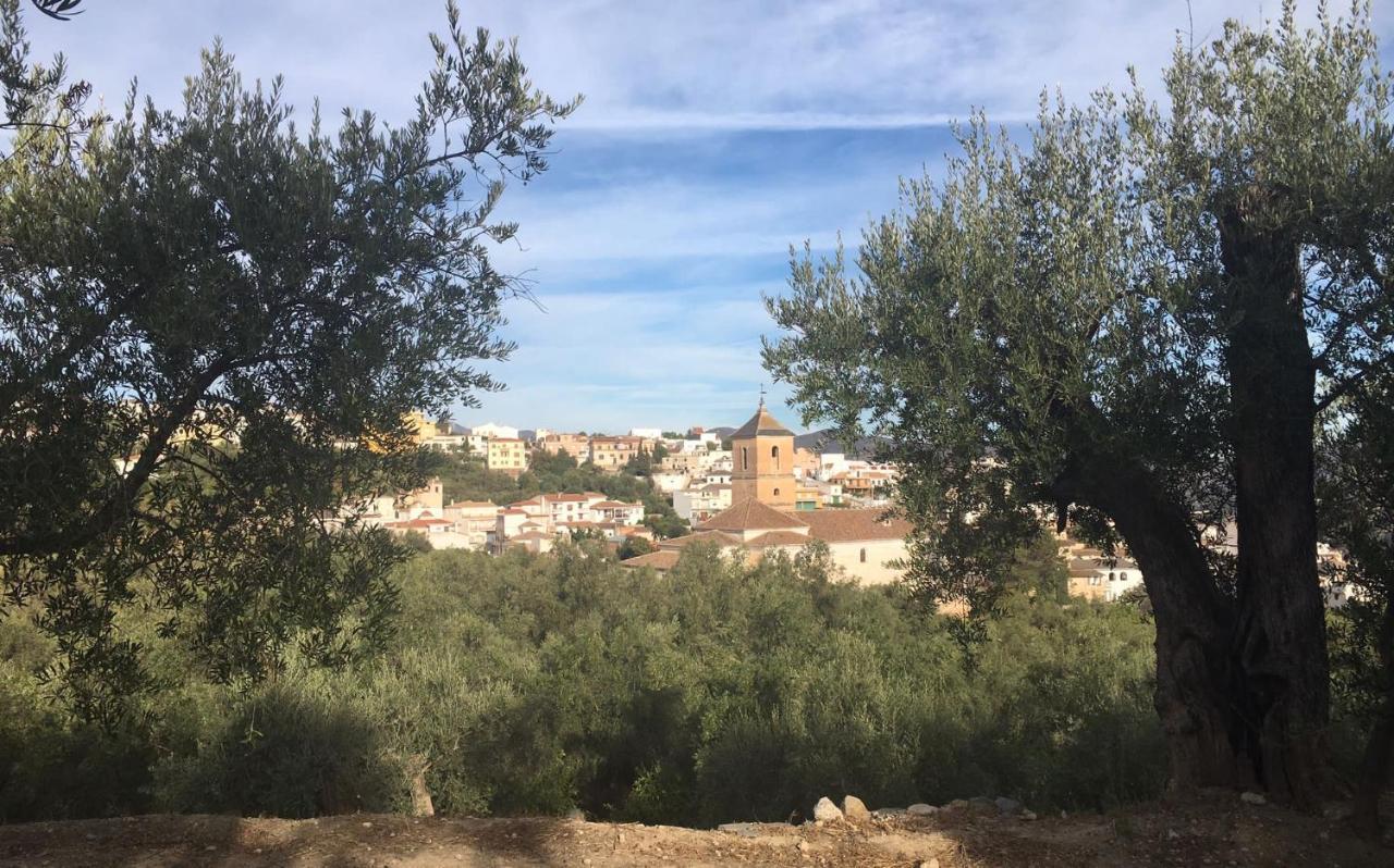 Jardin Andaluz Appart Alhambra Pinos del Valle Eksteriør bilde